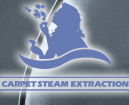 carpetsteam